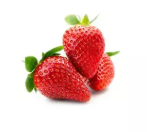 FRESA